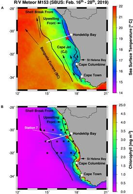 Oxygen and Nutrient Trapping in the Southern Benguela Upwelling System